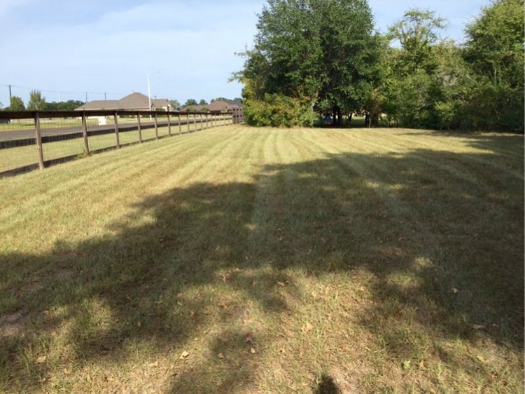 Fertilization & Weed Control in College Station TX