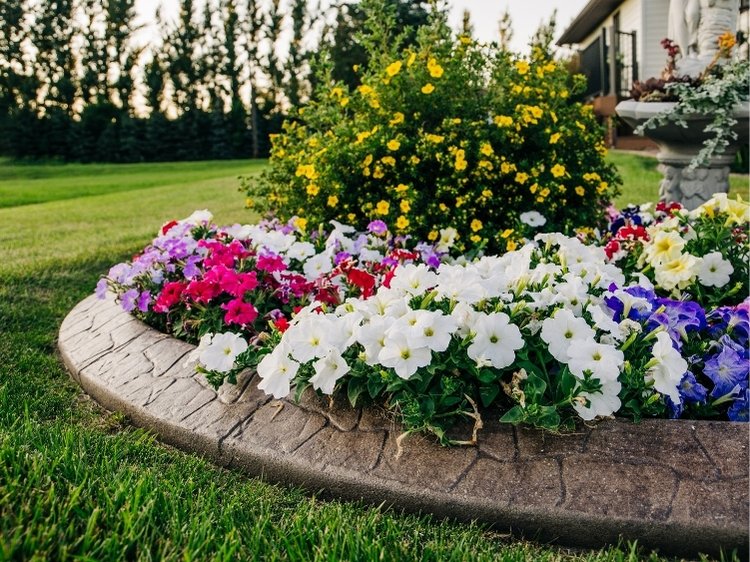Flower Bed Maintenance in College Station TX